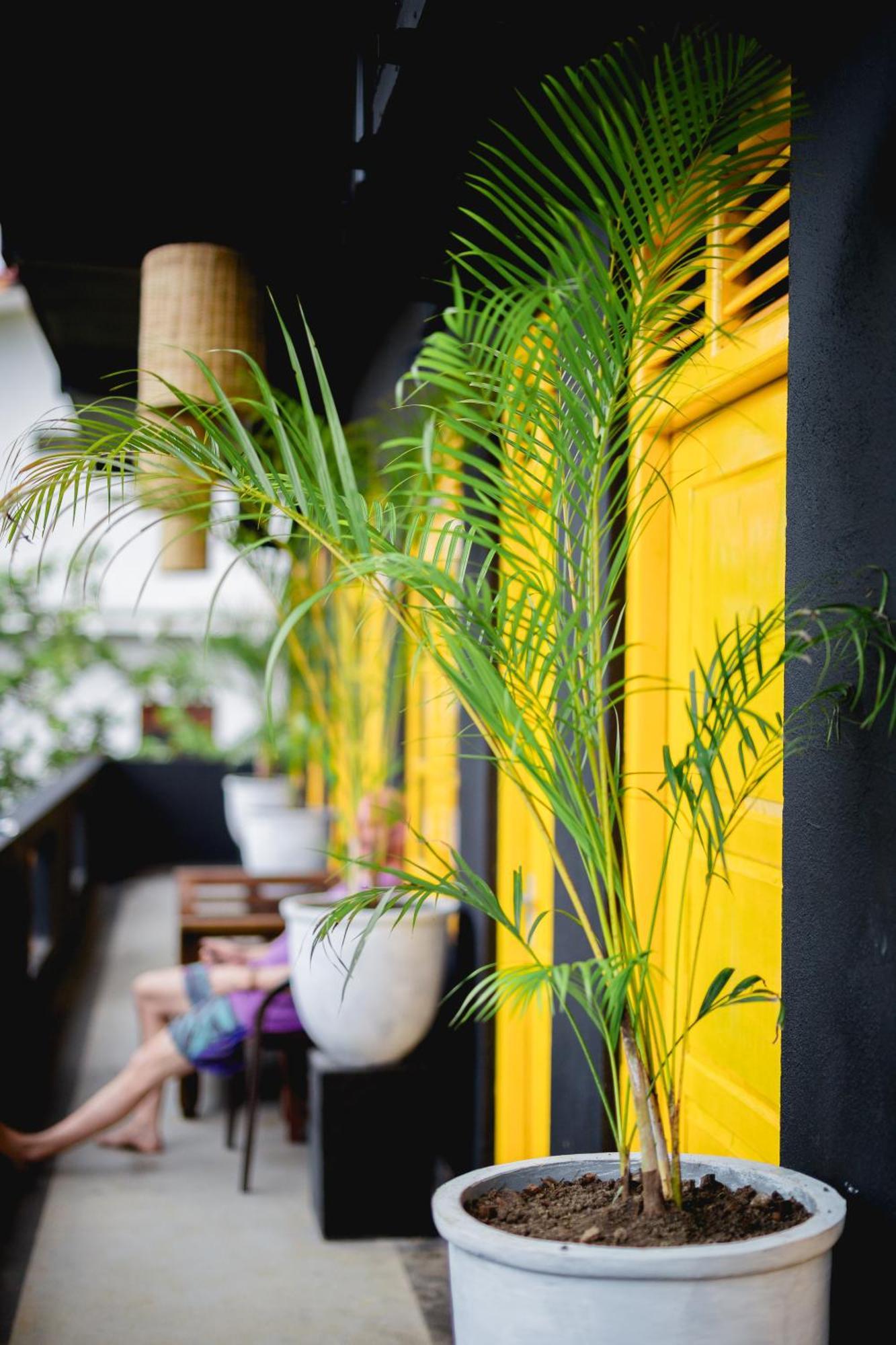 Sugar Hostel Weligama - Coliving & Coworking Екстериор снимка
