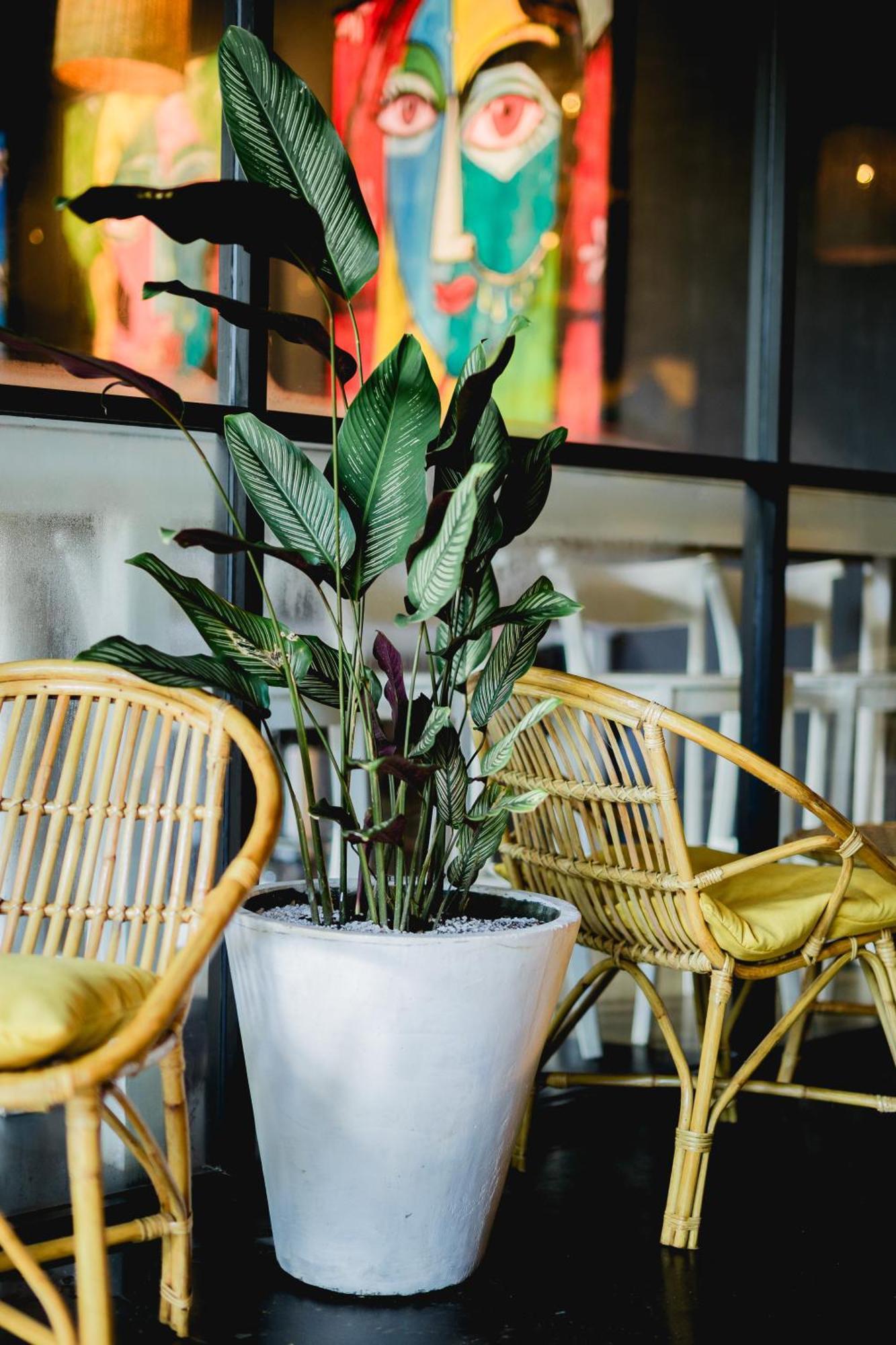 Sugar Hostel Weligama - Coliving & Coworking Екстериор снимка